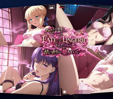 【ネタバレ】FATE IN LINGERIE / Vol.1 / Part II｜d_831376